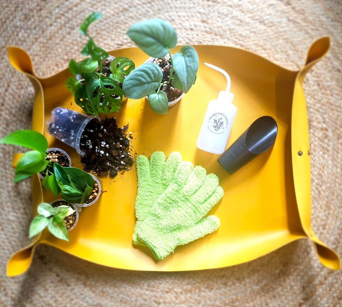 Premium Microfibre Leaf Cleaning Gloves