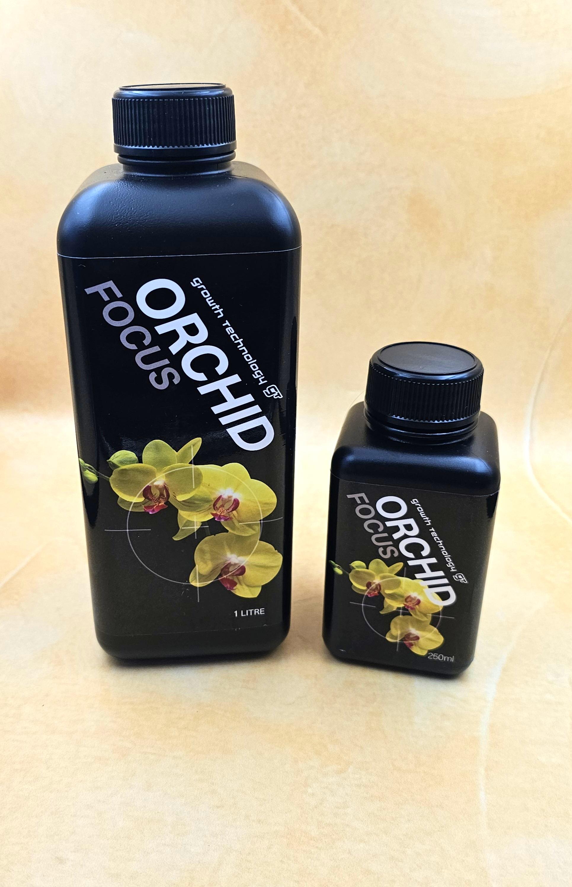 GT Orchid Focus General