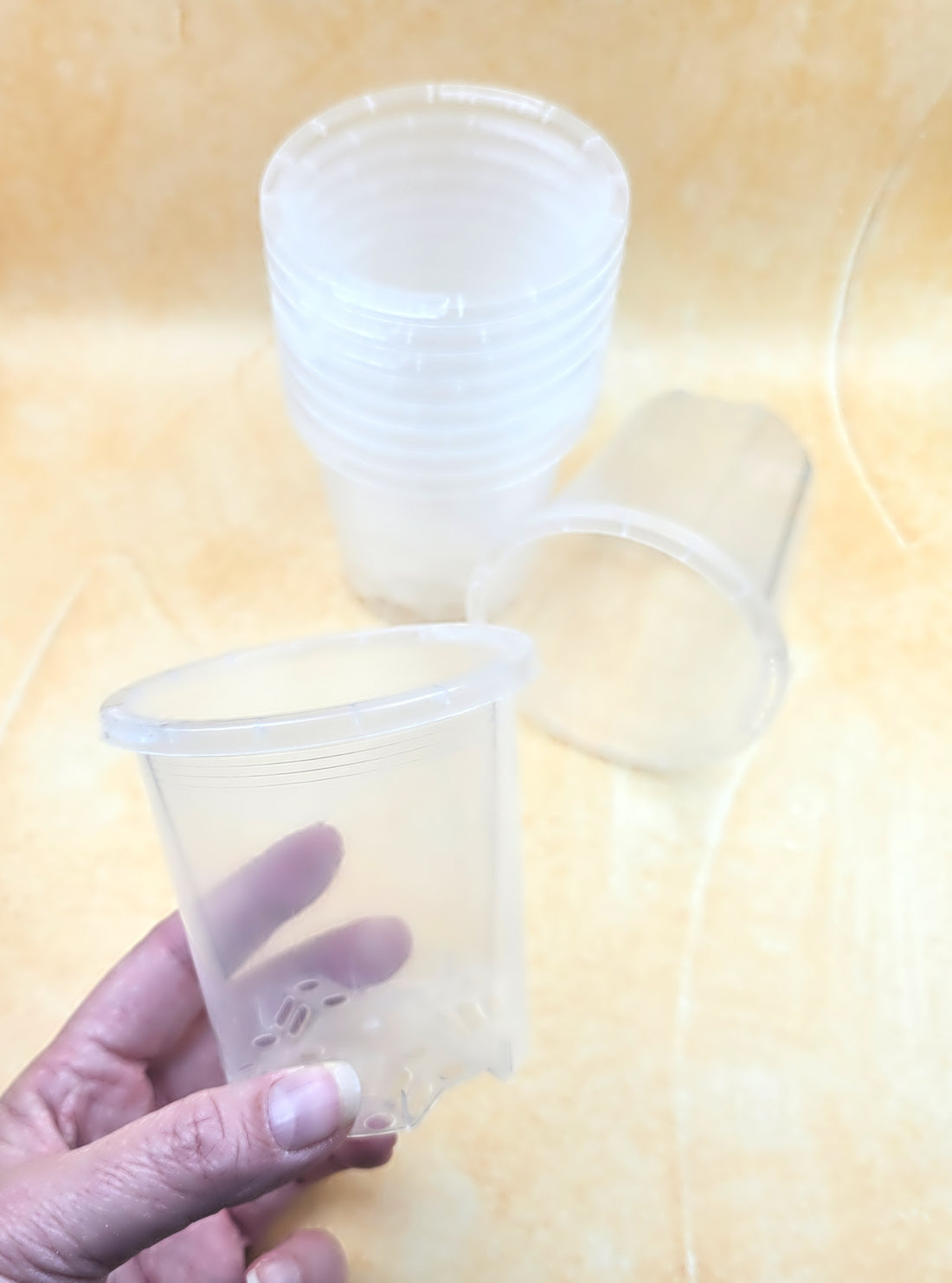 90cm Clear Nursery Pots