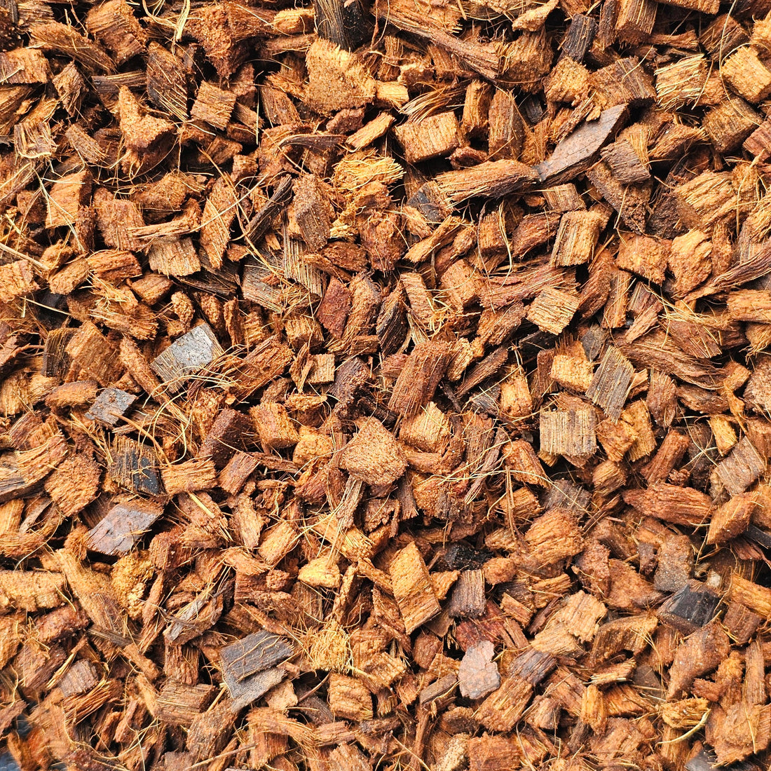 Coco Chips (Coconut Husk Chips)