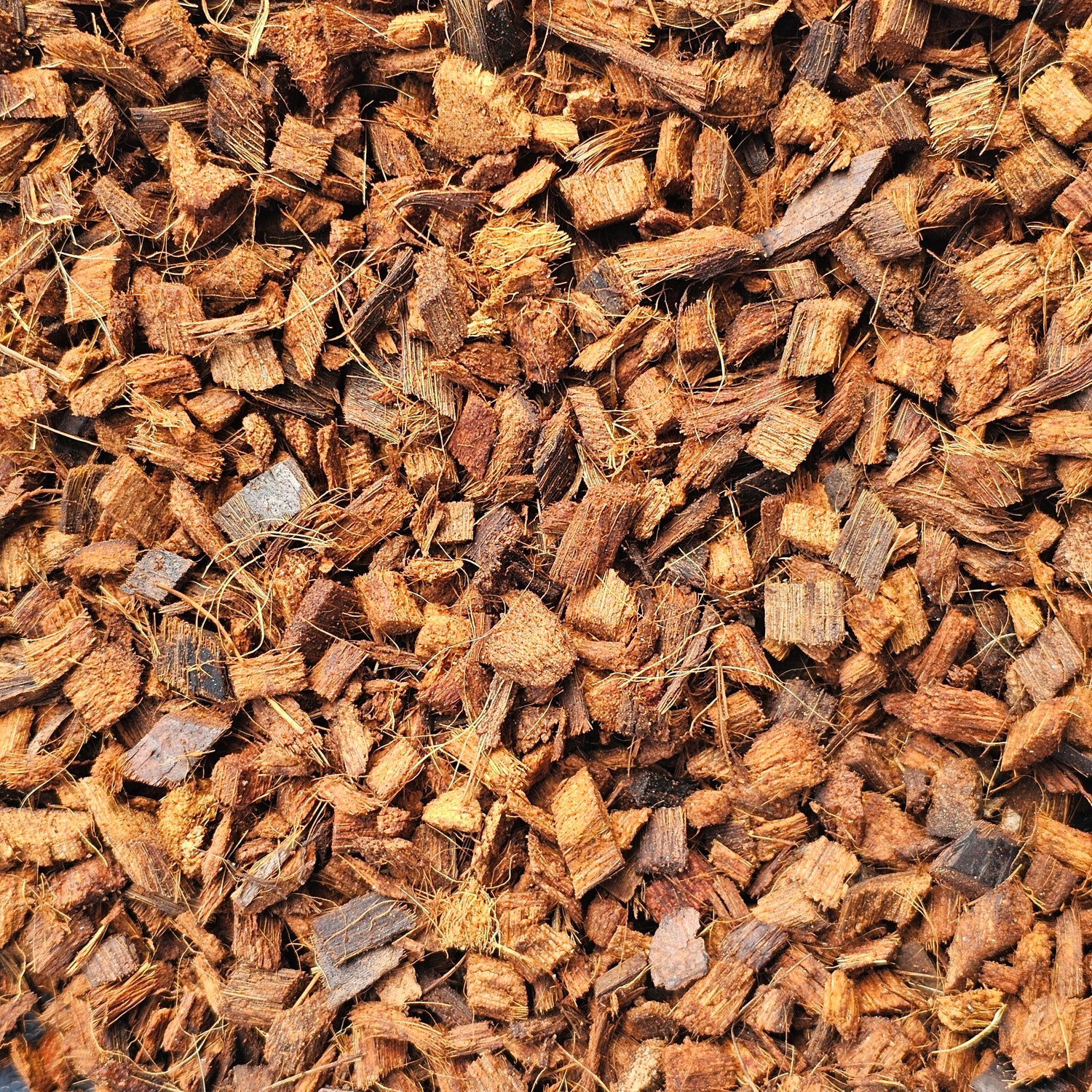 Coco Chips (Coconut Husk Chips)