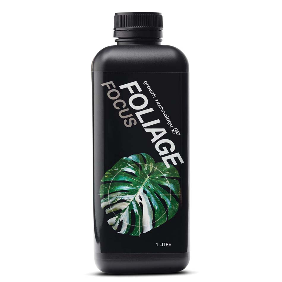 GT Foliage Focus