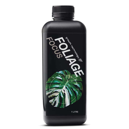GT Foliage Focus