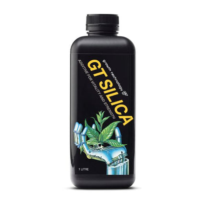 GT Silica
