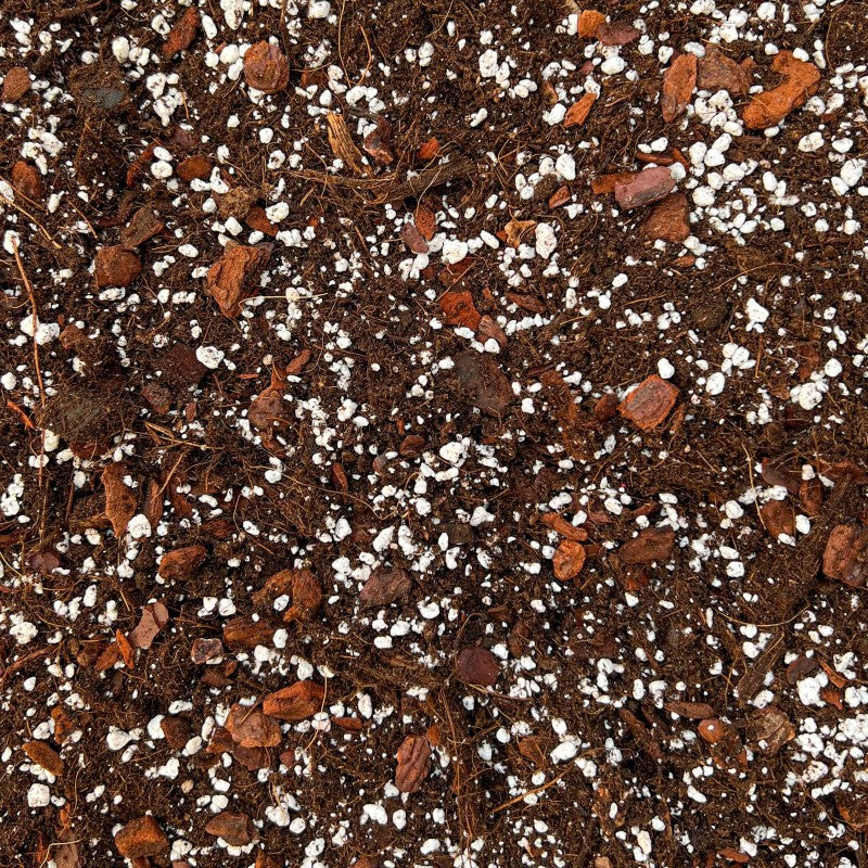 Hoya Mix
