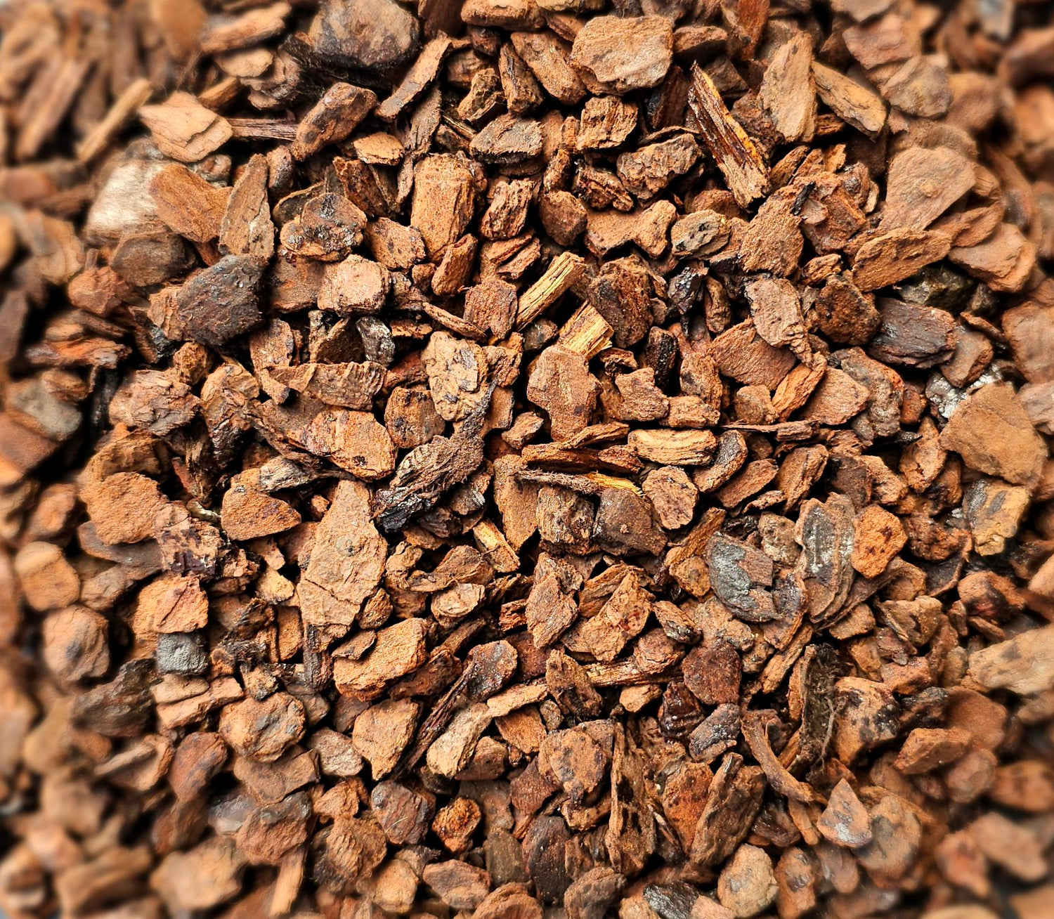 Pine Bark