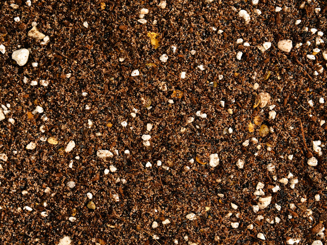 Soilless mix for a large number of plant varieties