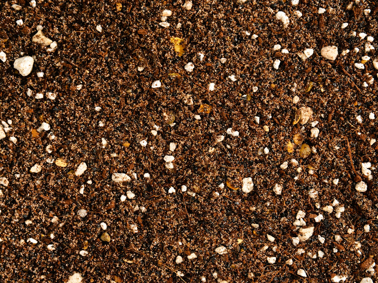 Soilless mix for a large number of plant varieties