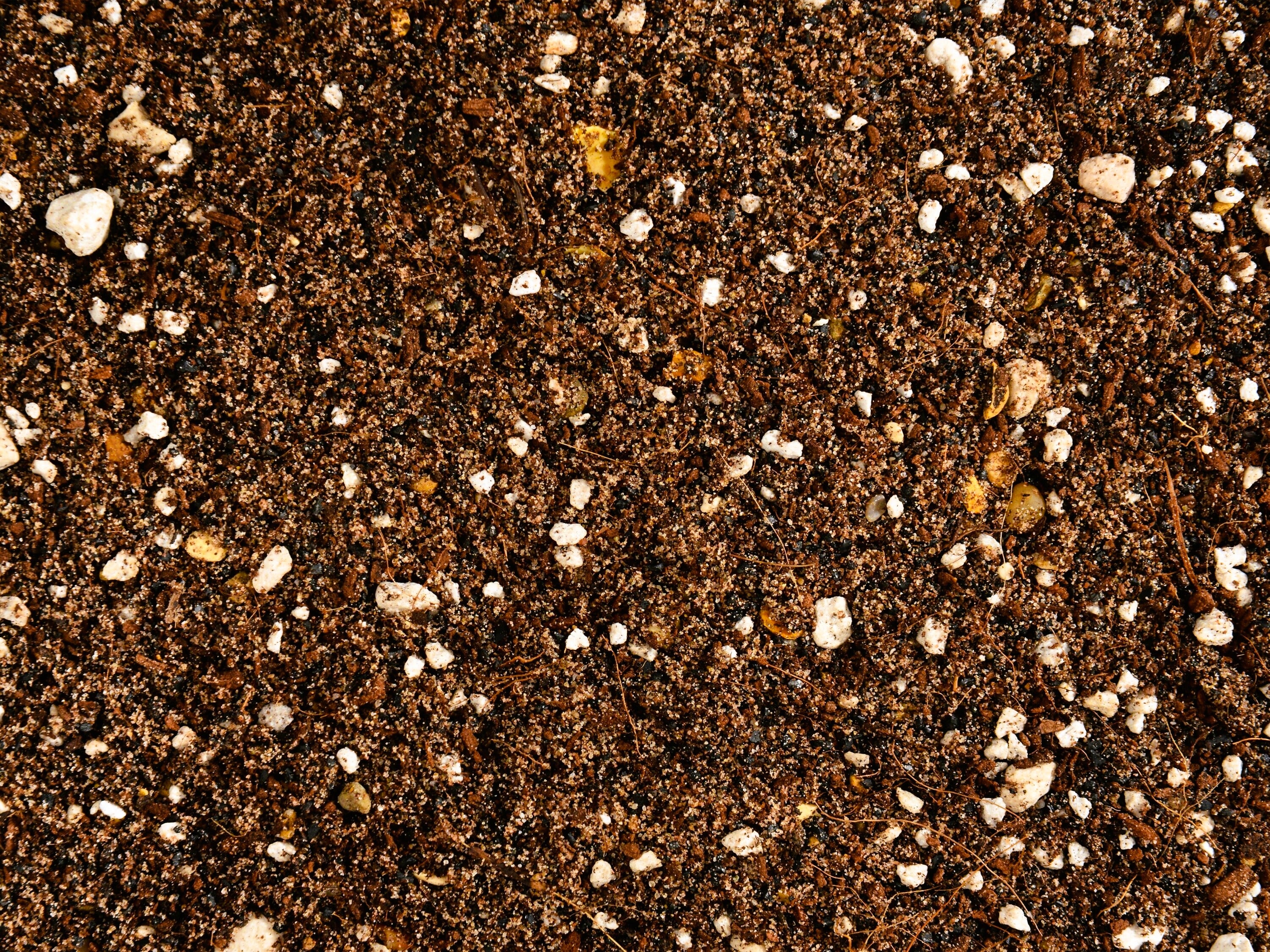 Soilless mix for a large number of plant varieties